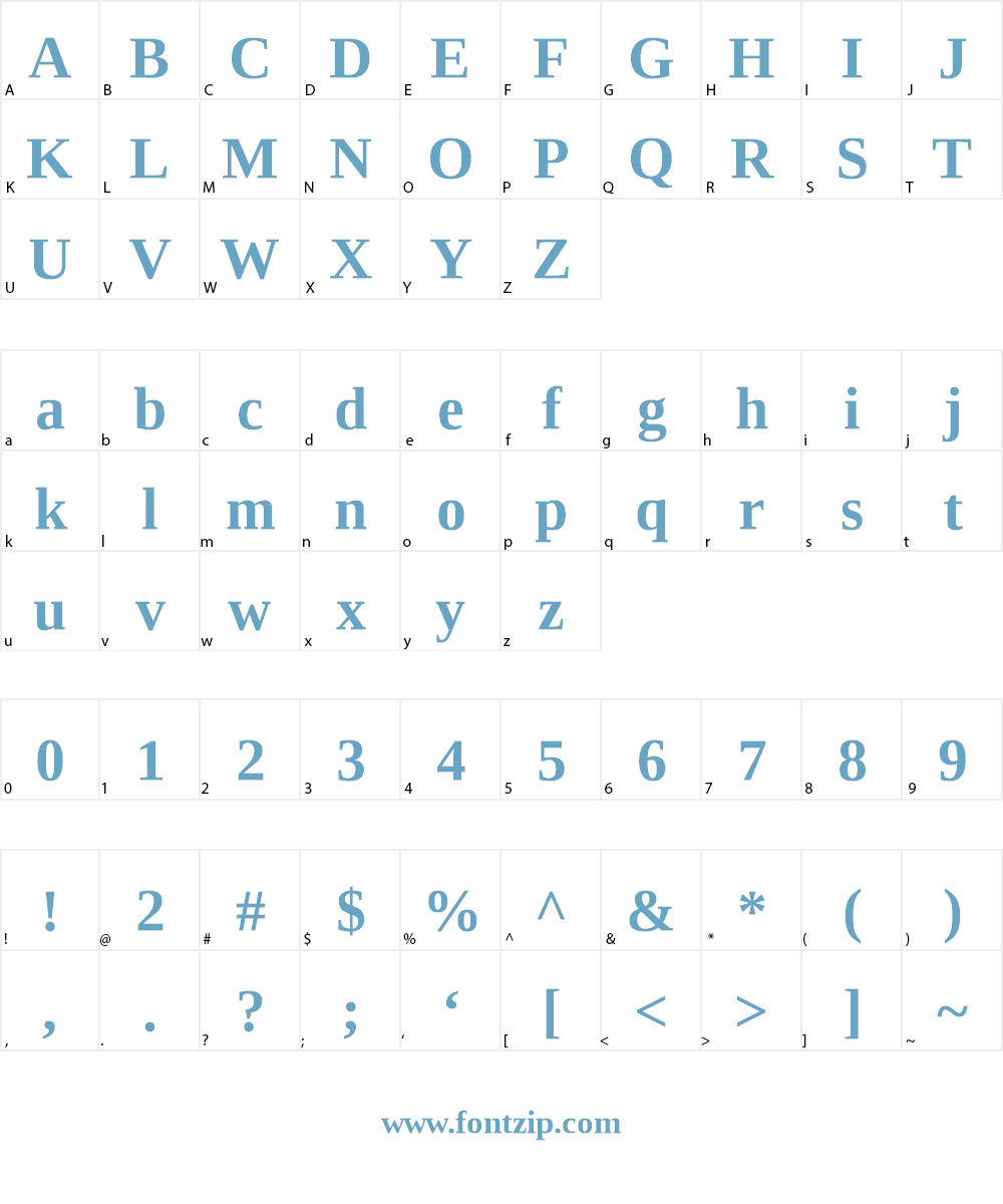 Liberation Serif Font Character