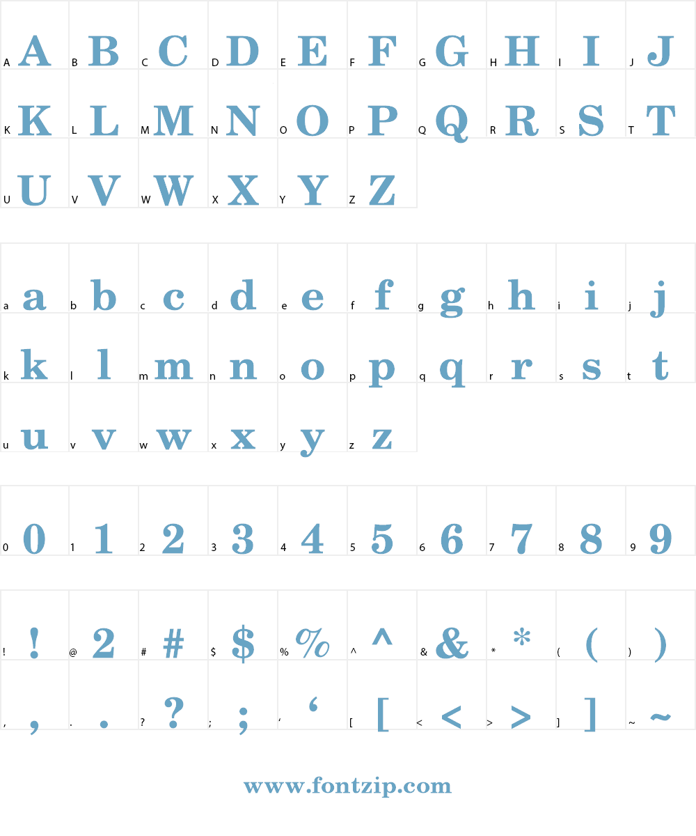 TeXGyreSchola Font Character