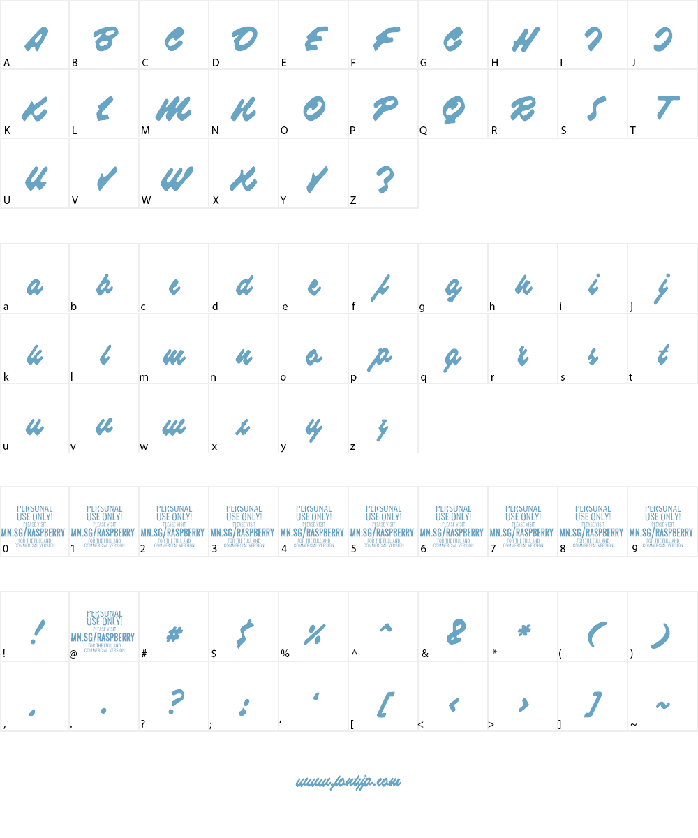 Raspberry Script PERSONAL USE Font Character