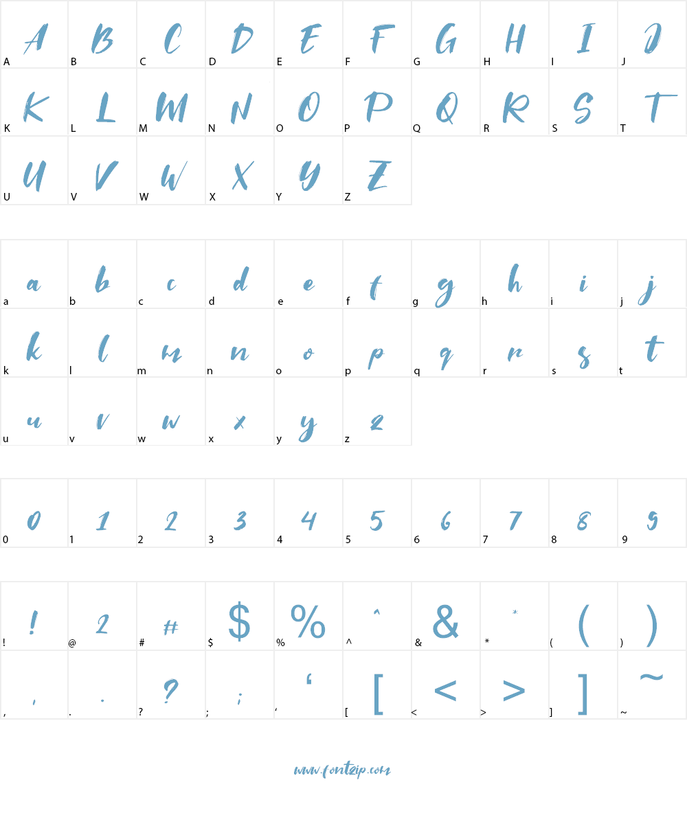 Saltino Font Character