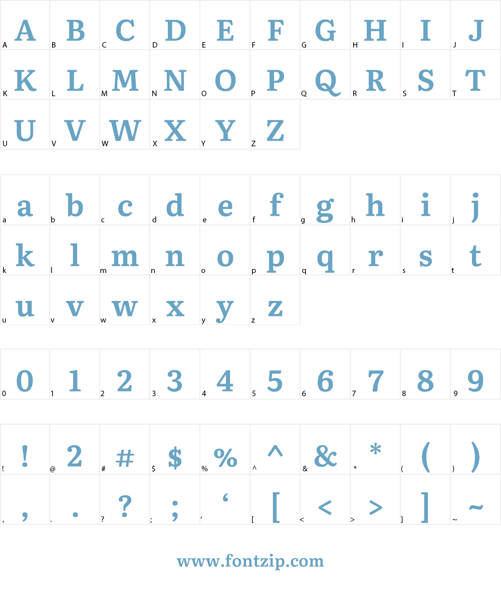 Literata Font Character