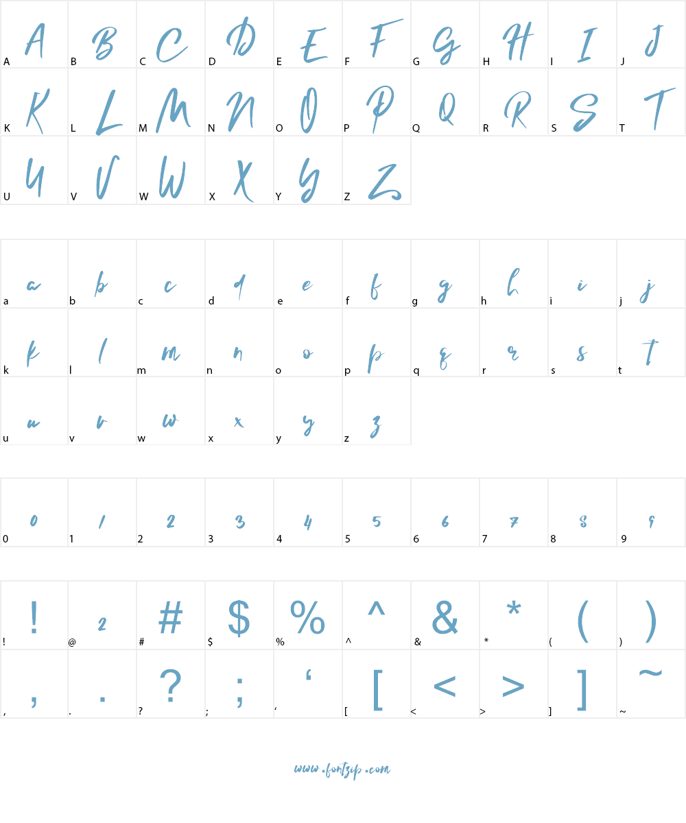 Lelushka Script Ink marks Font Character