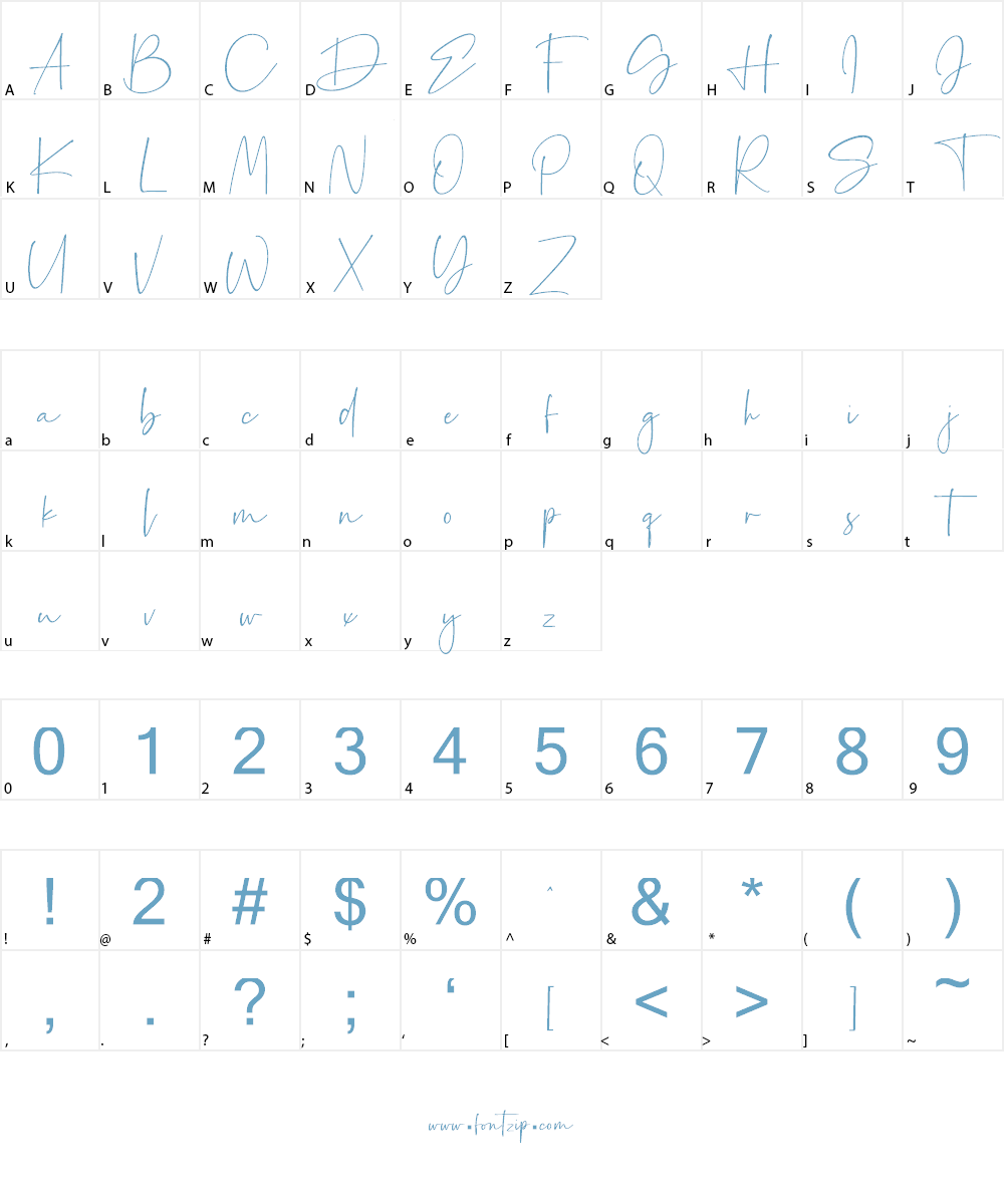 Palmaton Font Character