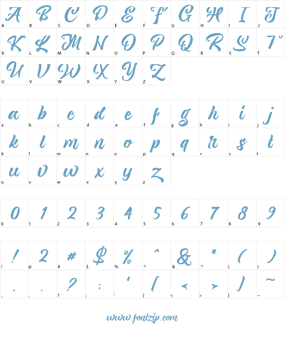Magnison Script Font Character