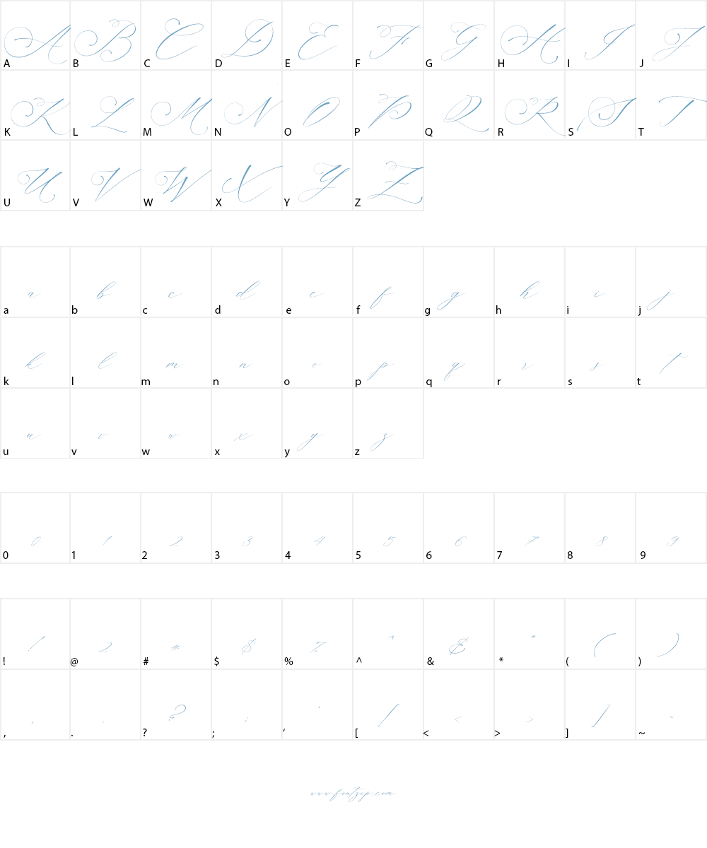 Planolla Font Character