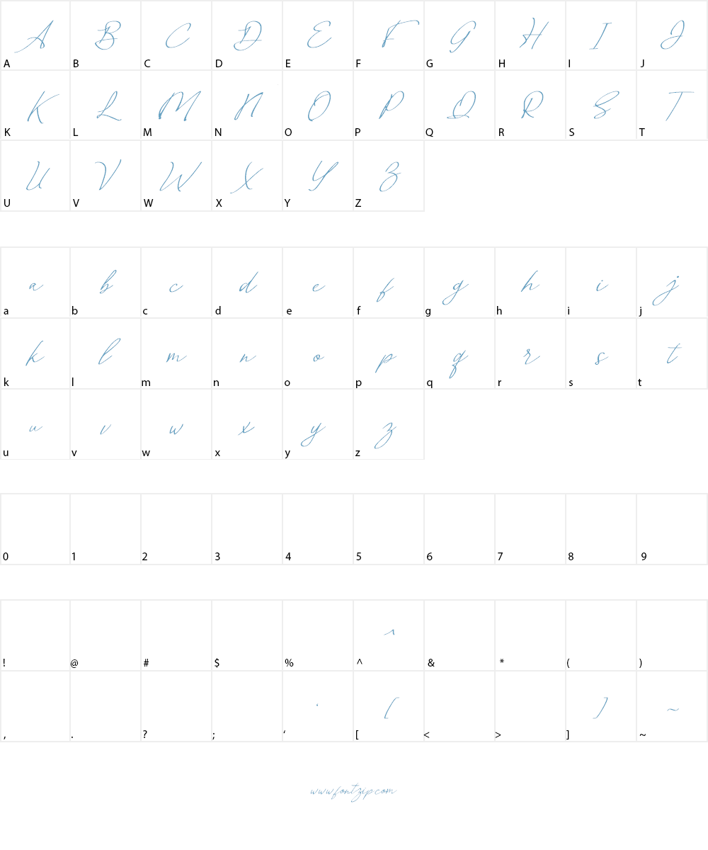 Malvinas Signature Font Character