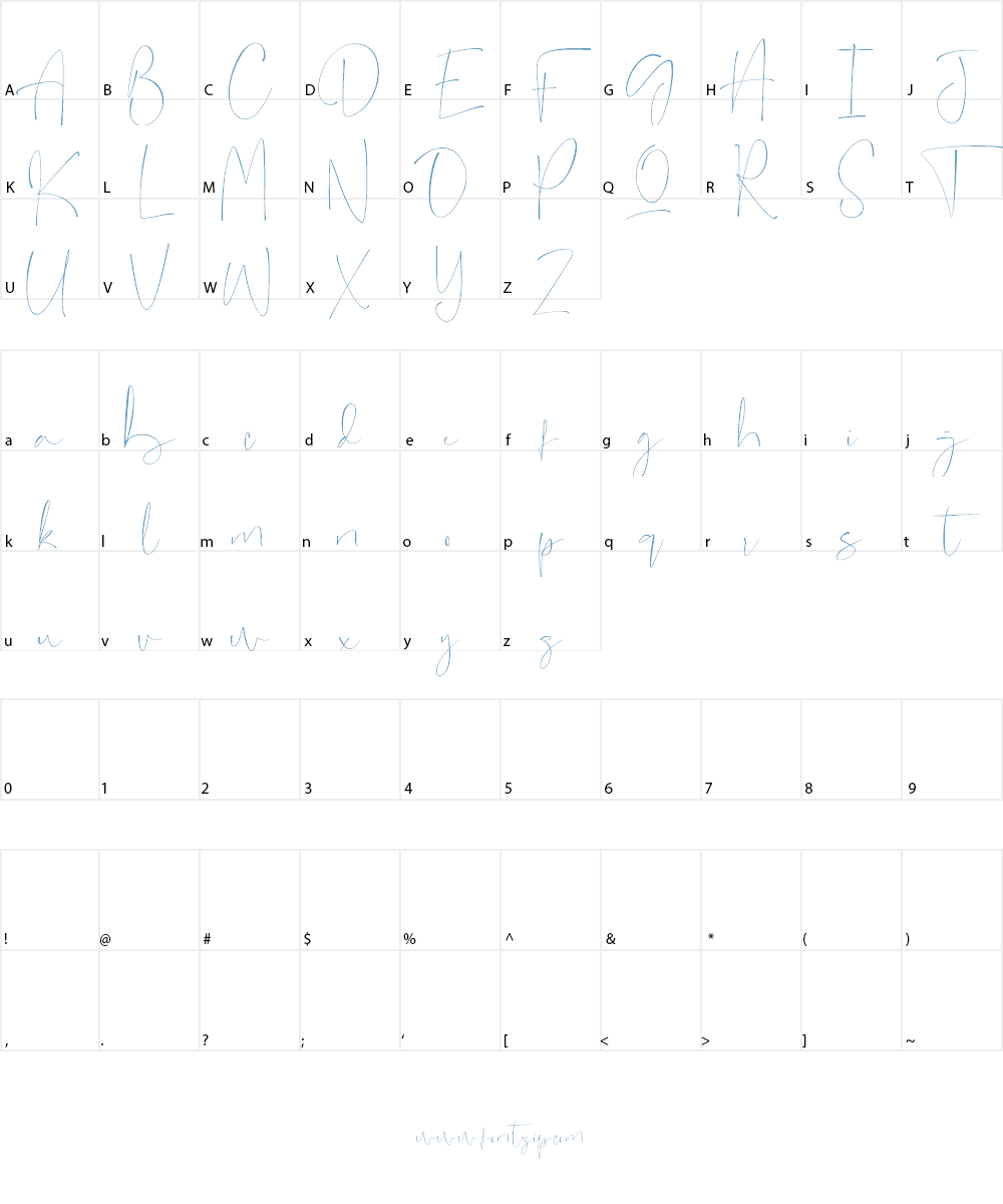 singletone Font Character