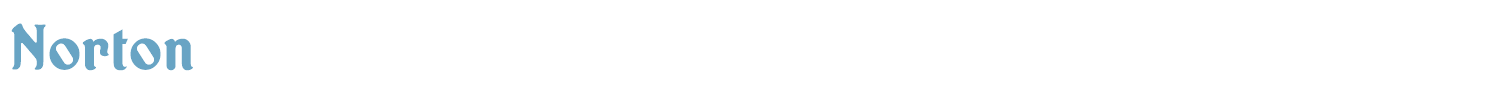sample Norton font