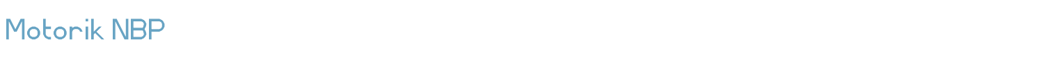 sample Motorik NBP font