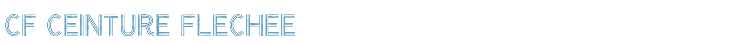 sample CF Ceinture Flechee font