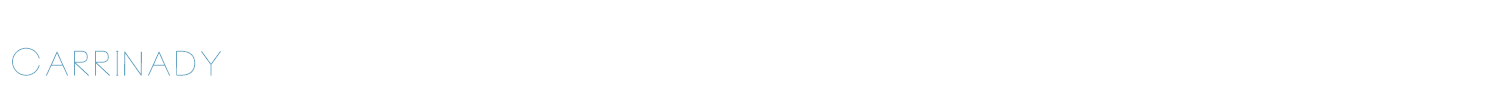 sample Carrinady font